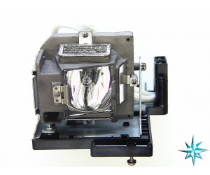 Optoma 5811100256-S Projector Lamp Replacement