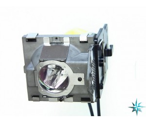 BenQ 9E.0C101.011 Projector Lamp Replacement