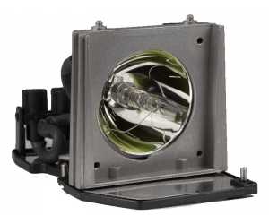 Acer EC.J1001.001 Projector Lamp Replacement