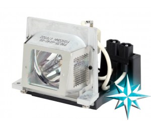 Viewsonic RLC-018 Projector Lamp Replacement