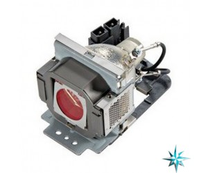 Viewsonic RLC-030 Projector Lamp Replacement