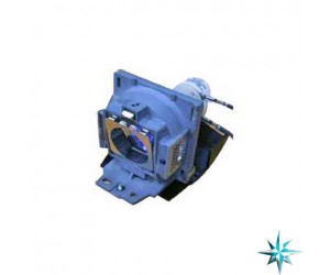 Viewsonic RLC-035 Projector Lamp Replacement