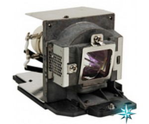 Viewsonic RLC-057 Projector Lamp Replacement