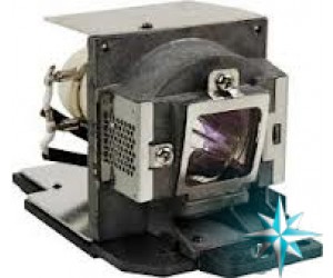 Viewsonic RLC-077 Projector Lamp Replacement
