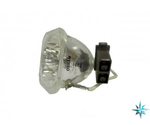 Optoma SP.81416.001 Projector Lamp Replacement