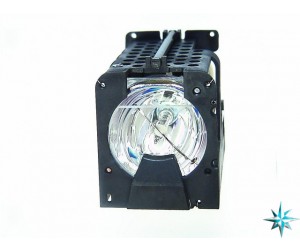 Optoma SP.82004.001 Projector Lamp Replacement
